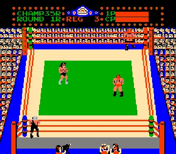 Tag Team Wrestling (USA) screen shot game playing